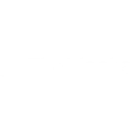 Fireblocks payment provider